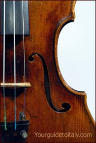 Antique Guadagnini Violin